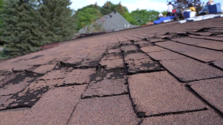 Best Sheet Metal Roofing  in Kansas City, KS