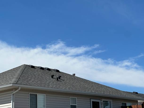Best Chimney Flashing Repair  in Kansas City, KS